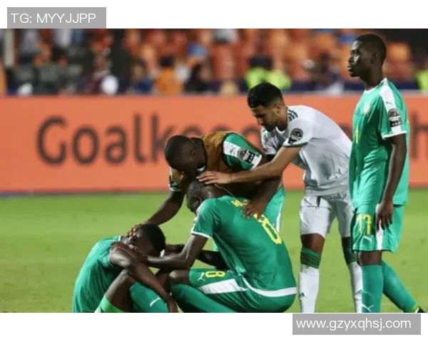 塞内加尔与阿尔及利亚精彩对决录像回放及赛后分析分享